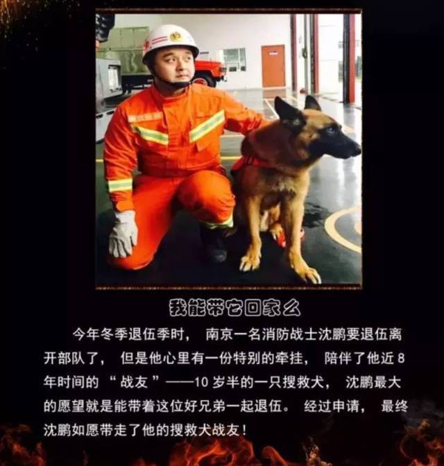 浴火重生的逆行者，肌肉越大責(zé)任越大，這才是真漢子——中國消防員(圖23)