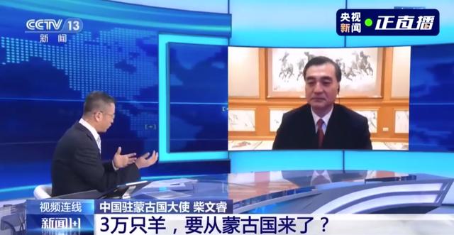 蒙古國送的3萬只羊會變成羊肉 吃貨網(wǎng)友：準備好了