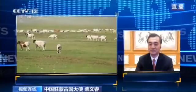 蒙古國(guó)送的3萬(wàn)只羊會(huì)變成羊肉 吃貨網(wǎng)友：準(zhǔn)備好了(圖3)