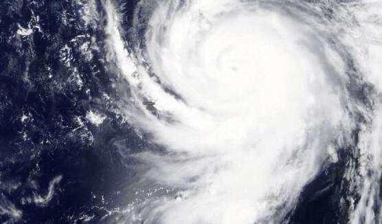 臺(tái)風(fēng)“美莎克”致吉林玉米大面積倒伏，像棉被一樣鋪在地上，減產(chǎn)已成定局(圖7)