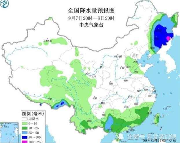 臺(tái)風(fēng)“美莎克”致吉林玉米大面積倒伏，像棉被一樣鋪在地上，減產(chǎn)已成定局(圖10)