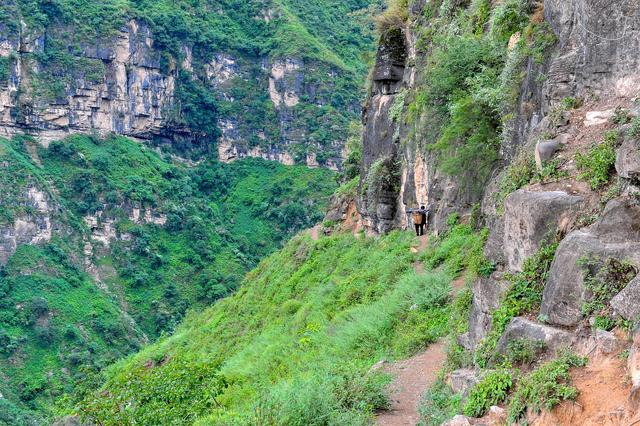 四川批準(zhǔn)涼山7縣摘帽脫貧！全省88個貧困縣全部清零