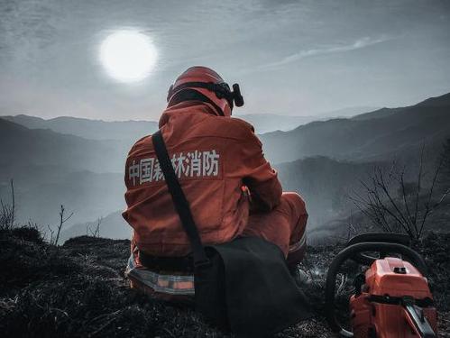 森林消防員的“法寶”你了解多少？(圖1)